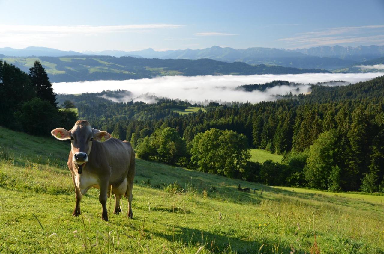 Hotel Alpenrose Gut Schlafen & Fruehstuecken Scheidegg Eksteriør bilde